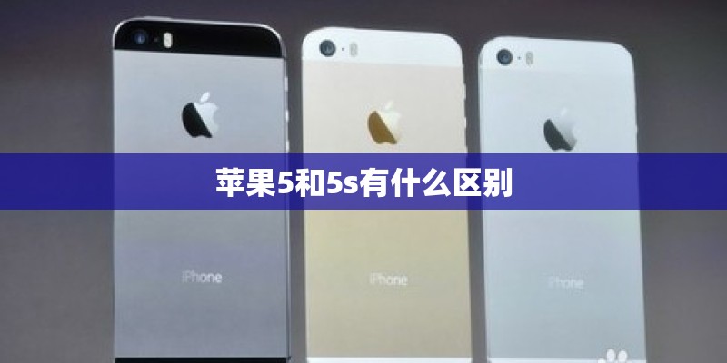 苹果5和5s有什么区别