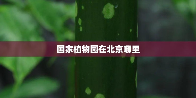 国家植物园在北京哪里