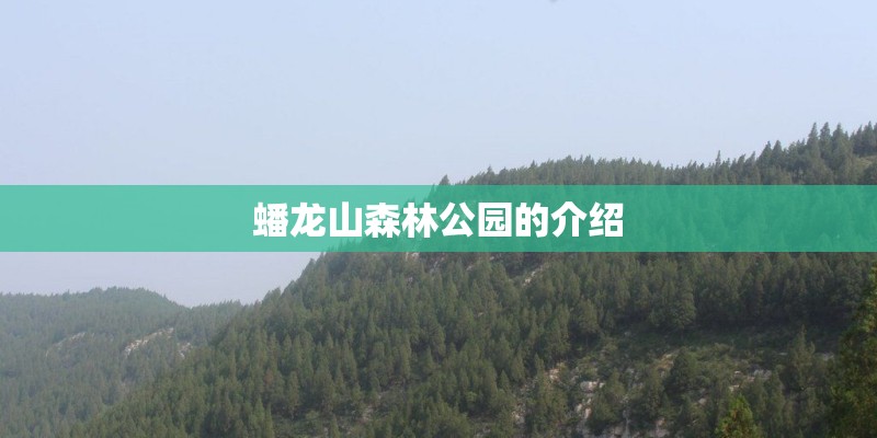 蟠龙山森林公园的介绍
