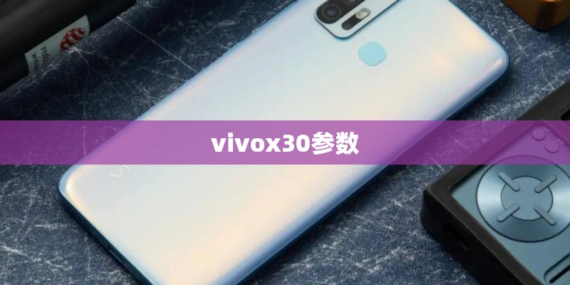 vivox30参数