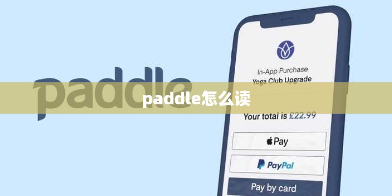 paddle怎么读