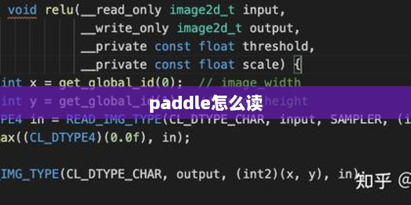 paddle怎么读