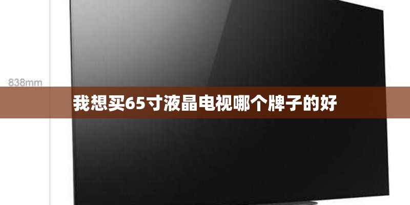 我想买65寸液晶电视哪个牌子的好