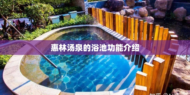 惠林汤泉的浴池功能介绍