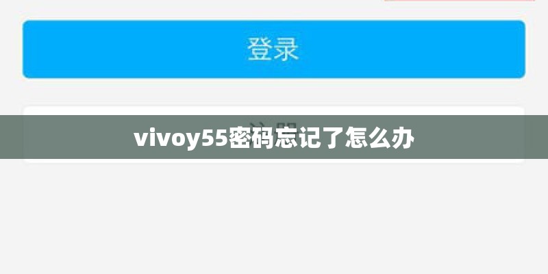 vivoy55密码忘记了怎么办