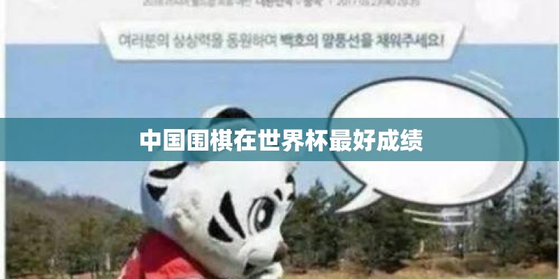 中国围棋在世界杯最好成绩