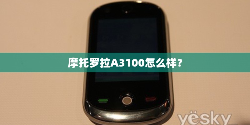 摩托罗拉A3100怎么样？