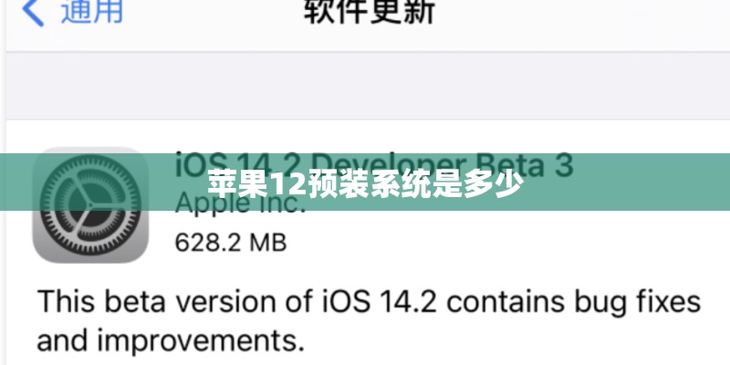 苹果12预装系统是多少