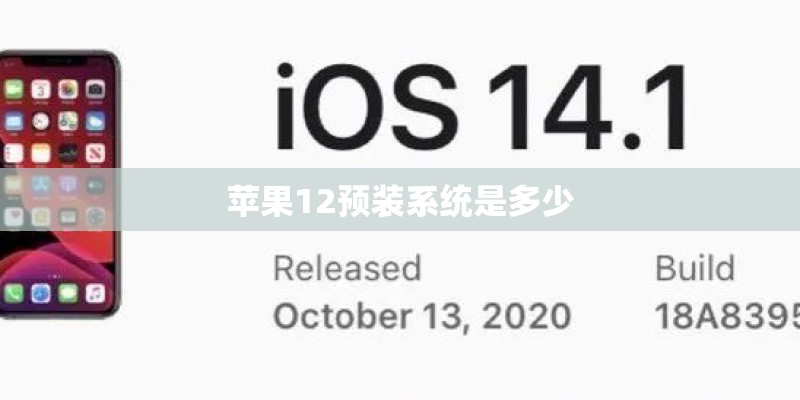 苹果12预装系统是多少