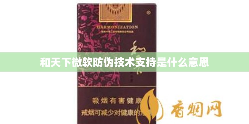 和天下微软防伪技术支持是什么意思