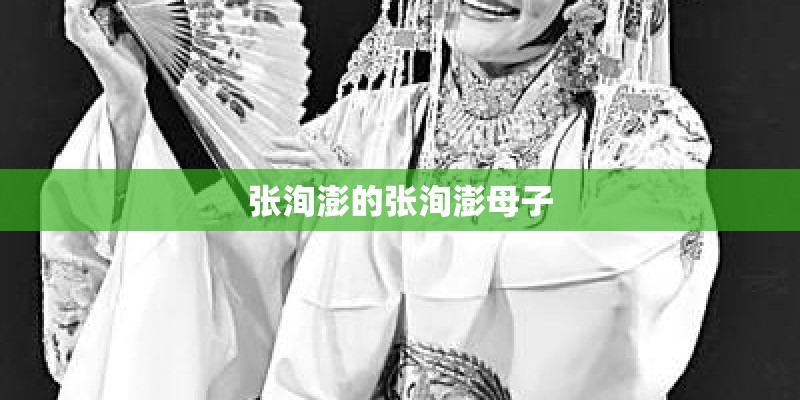 张洵澎的张洵澎母子