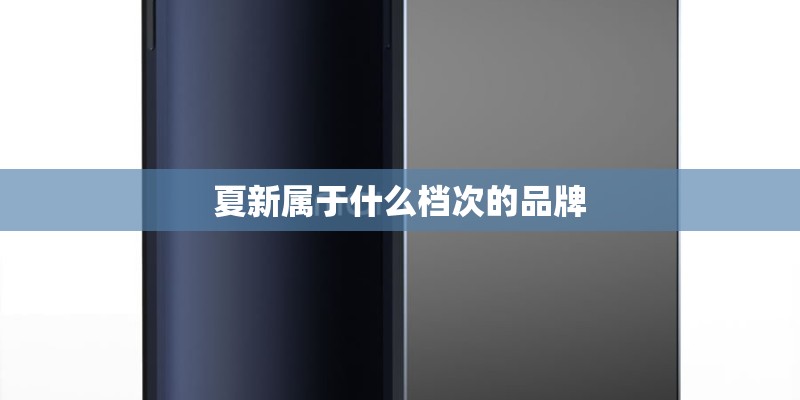 夏新属于什么档次的品牌