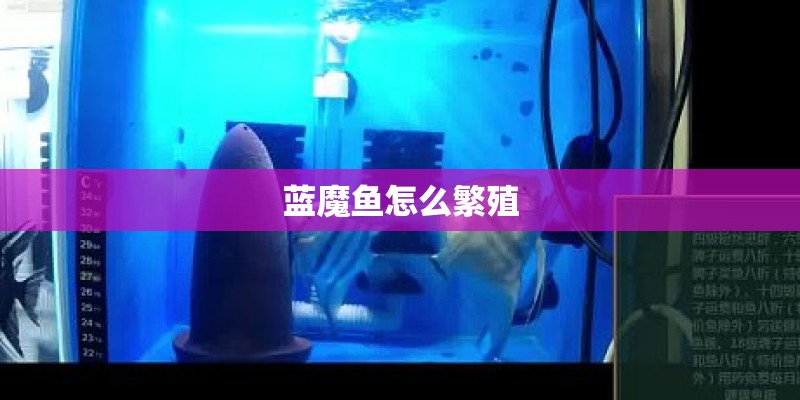 哪个季节适合去北戴河旅游？