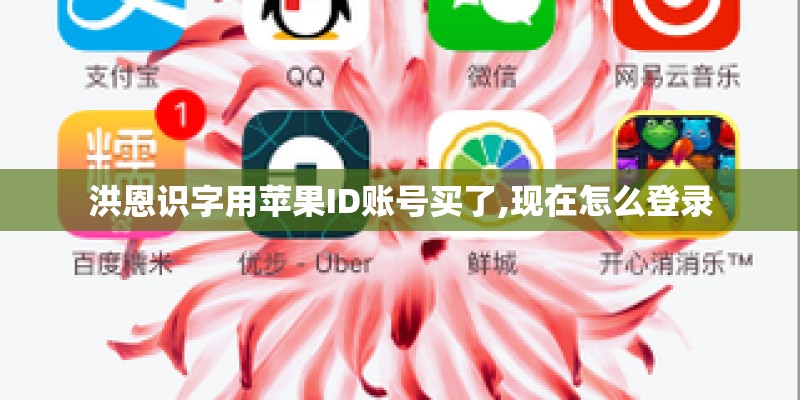 洪恩识字用苹果ID账号买了,现在怎么登录