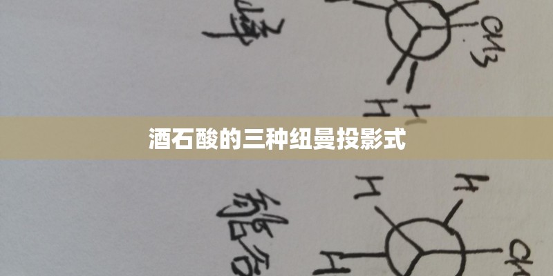 酒石酸的三种纽曼投影式