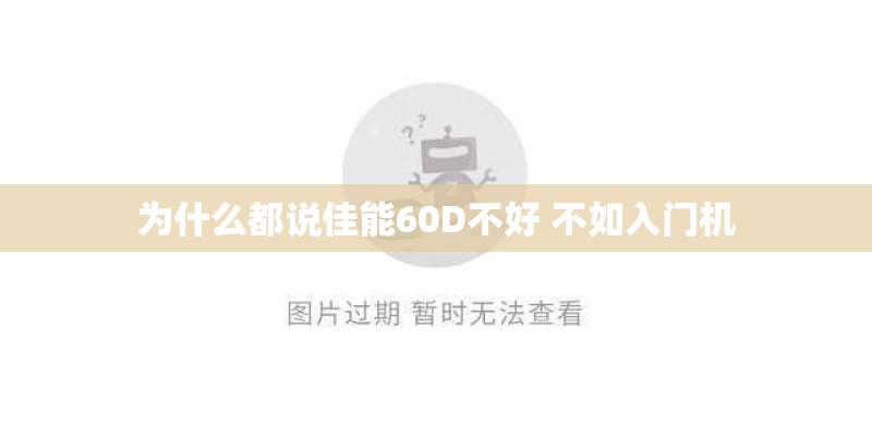 海藻种子怎么种植-