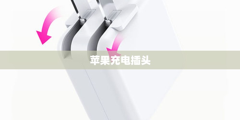 苹果充电插头